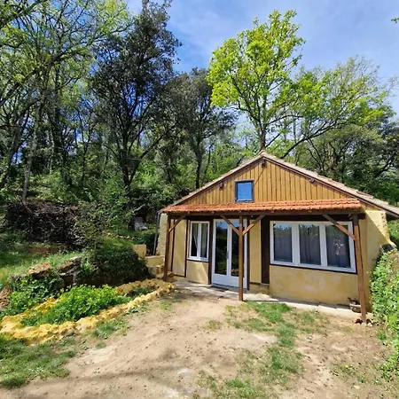 Organic And Artistic Ferienhaus